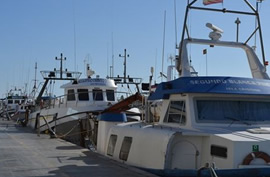 terminales puerto pesquero ayamonte