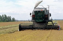 riego navalvillar de pela