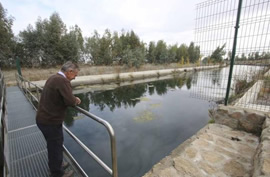 transformacion regadio extremadura